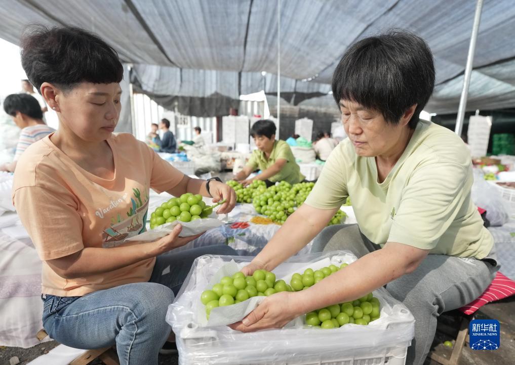 882捕鱼游戏平台手机版